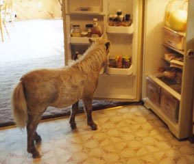 BelleHungry.jpg