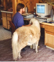 BelleWebsurfing.jpg