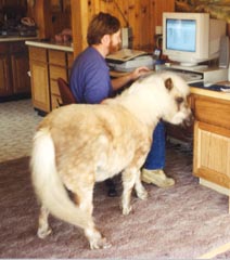 BelleWebsurfing2.jpg