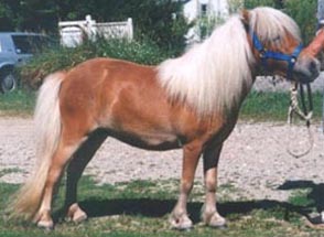 WhitesCasinoElise.jpg