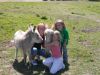 Cloverdale_Farm_visit_039.jpg