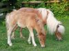 Sweetie2010-06-19_02.jpg